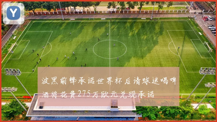 波黑前锋承诺世界杯后请球迷喝啤酒将花费275万欧元兑现承诺